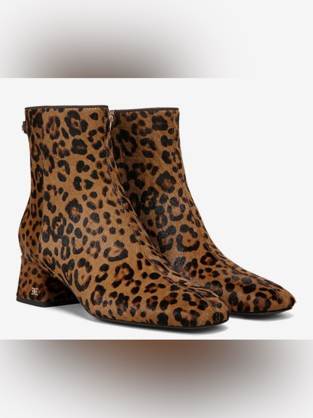 Sam Edelman Leopard Print Ankle Boots - Brown/Black